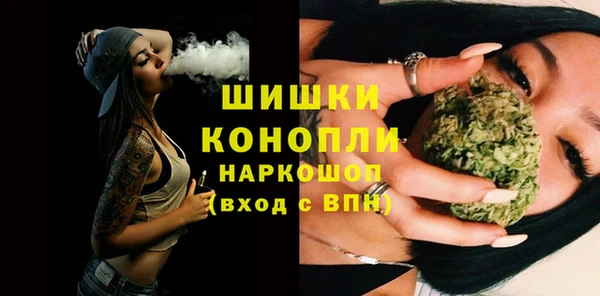 Альфа ПВП Аркадак