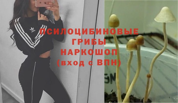 мет Арсеньев