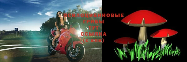индика Армянск
