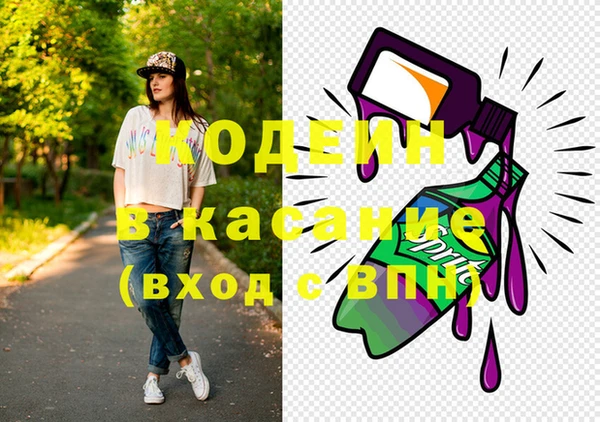 индика Армянск