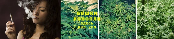 мет Арсеньев