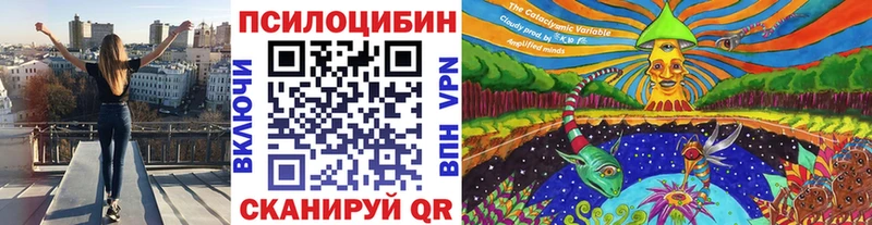 Галлюциногенные грибы GOLDEN TEACHER  Купить где  Жиздра 